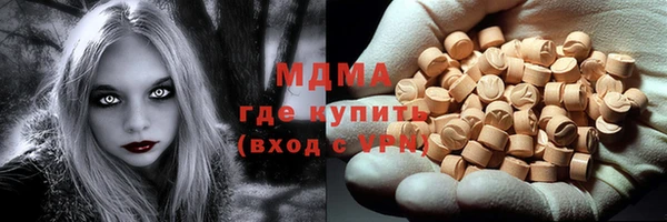 шишки Слюдянка