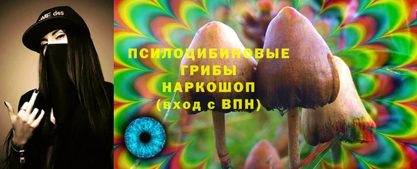 соль ск Бугульма