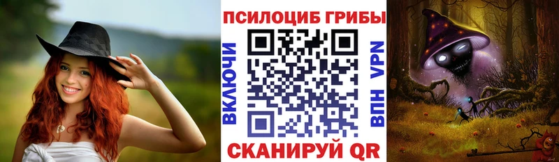наркота  Межгорье  Галлюциногенные грибы Psilocybe 